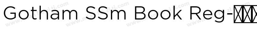 Gotham SSm Book Reg字体转换